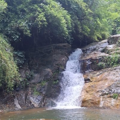 6f8610a1-e9da-4a3c-9bea-657c0b974e6e