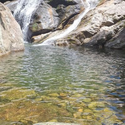 703b195e-7fa1-4862-9c55-52ae0ced9871